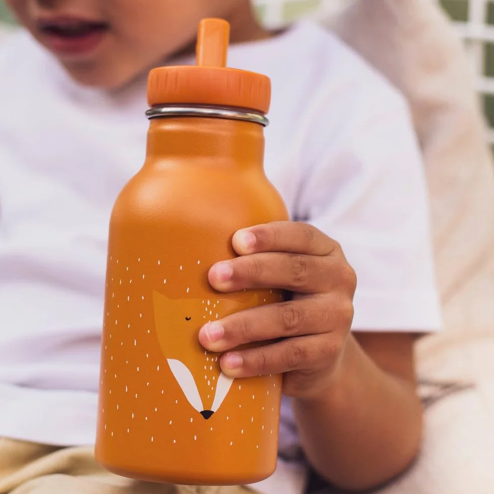 Trixie - Botella de Beber Para Niños de Acero Inoxidable 350 Mililitros - Mr. Fox (Zorro)