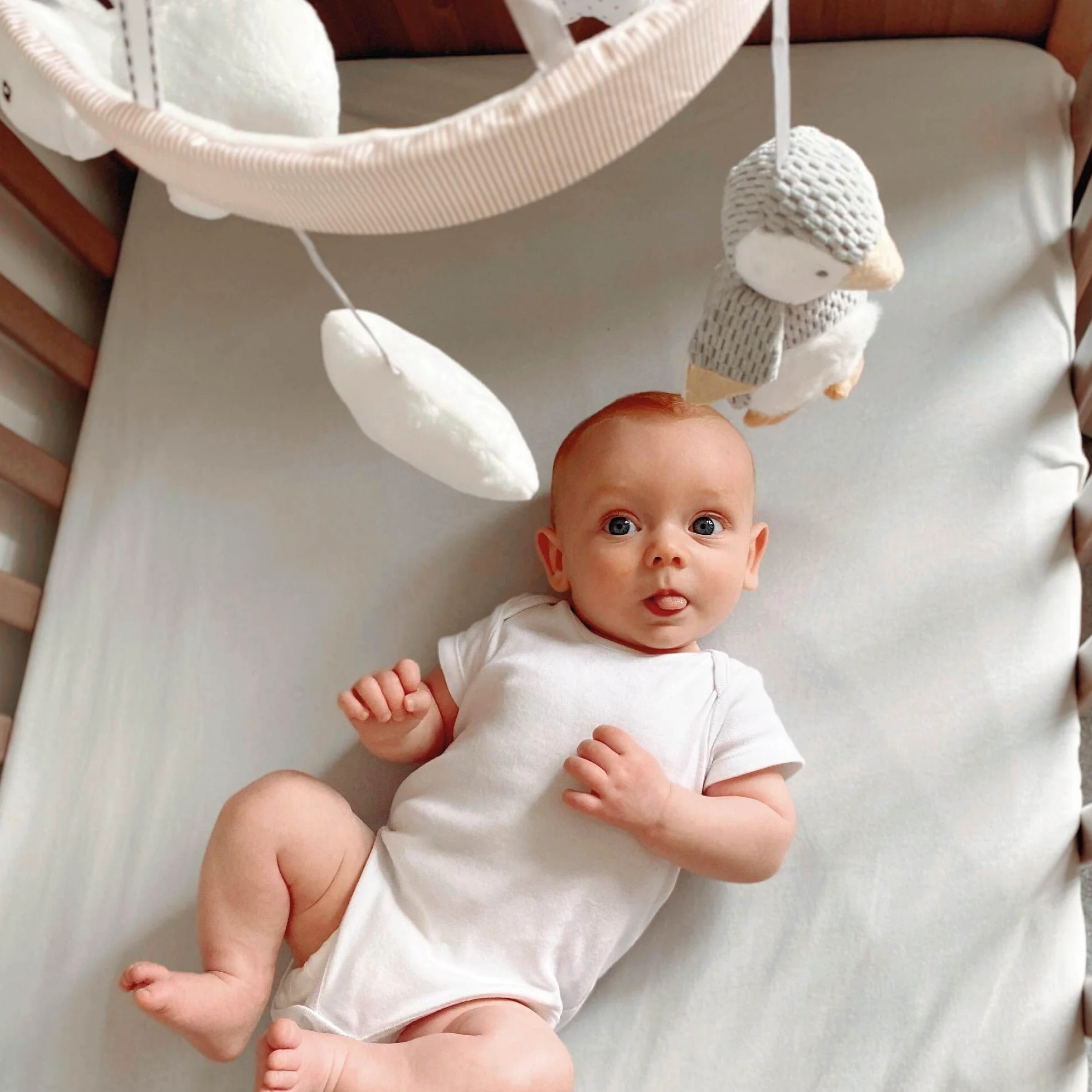 Nuby Móvil Musical para Cuna Bebé Pingüino – Carrusel Giratorio con Música, Brazo Ajustable para la Mayoría de las Cunas, Melodías Calmantes y Peluches Colgantes, 0+ Meses