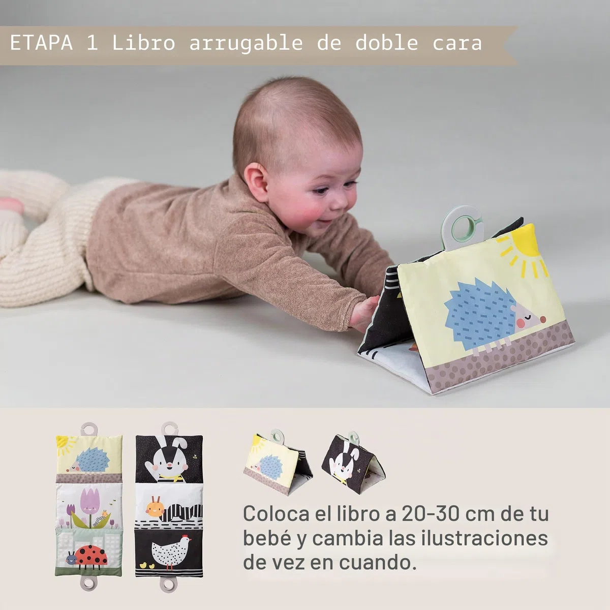 Taf Toys 13435 - Caja Tummy-Time