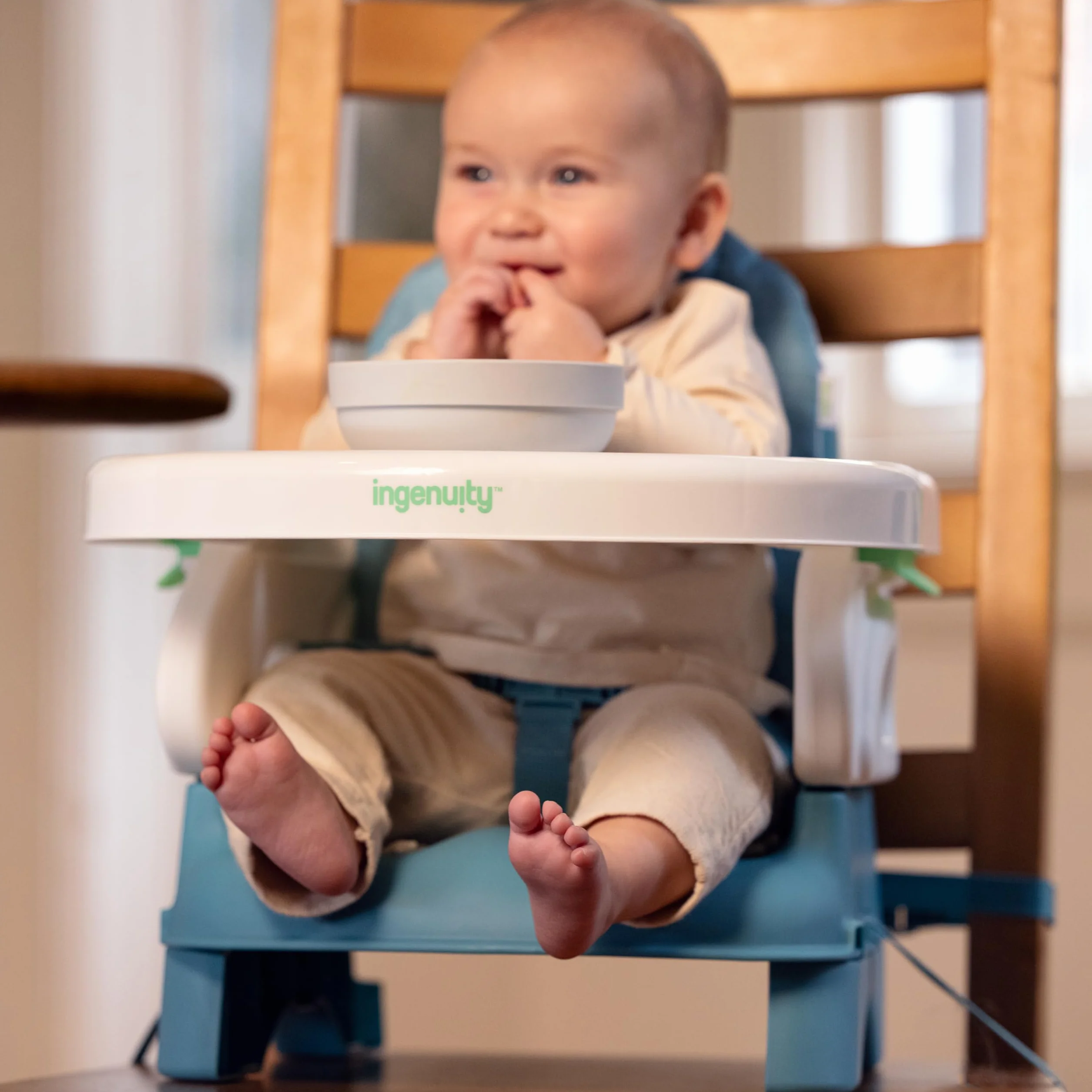Ingenuity, Trona Portátil Bebé Deluxe Comfort Folding Baby Booster Seat - Altura Ajustable - Acolchado - Teal - 6M-3Y